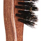 BARBER LINE BROSSE BARBE NEREO